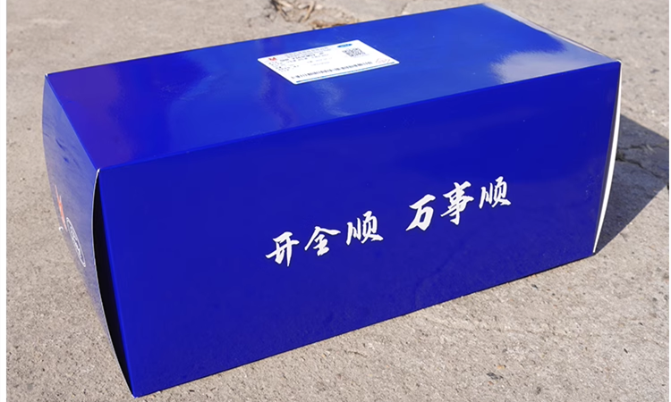 1:18 Scale Ford Transit T8 Business Van Diecast MPV Car Model – Alloy MPV Replica with Full Opening Doors, Steering, Suspension & Interior Details 1:18 Scale Ford Transit T8 Business Van Diecast MPV Car Model – Alloy MPV Replica with Full Opening Doors, Steering, Suspension & Interior Details