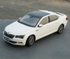 Original factory authentic 1:18 VW SKODA Brand new SUPERB diecast model with small gift